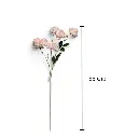 RAMA PEONIA BLANCA X6 85CM