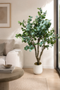 Planta de eucalipto artificial con maceta cerámica beige 170cm