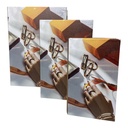 CAJAS EN FORMA DE LIBROS SETX3 22X30X7CM, 16X25.5X6CM, 12X20X4CM