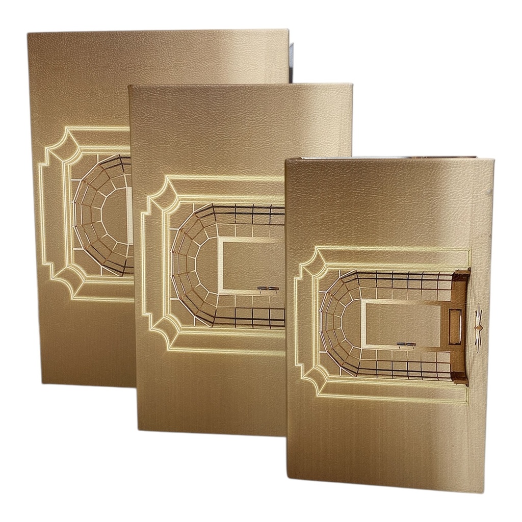 CAJAS EN FORMA DE LIBROS SETX3 22X30X7CM, 16X25.5X6CM, 12X20X4CM