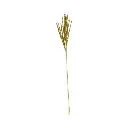 Rama Navideña Espiga pvc dorada 65cm