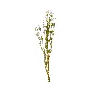 Rama Navideña Espiga dorada con bolitas 80cm 
