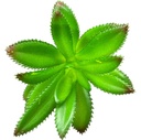 SUCULENTA ARTIFICIAL 11CM