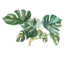 PLANTA HOJA TORTUGA ARTF. 35CM