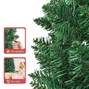 ARBOL DE CUERPO TIPO LAPIZ 8 PIES
