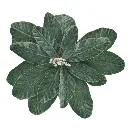 FLOR NAVIDEÑA VERDE GAMUZADA, REF:LG-2546, 33X28CM