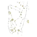 RAMA CONCHAS Y PERLAS NACARADAS 150CM