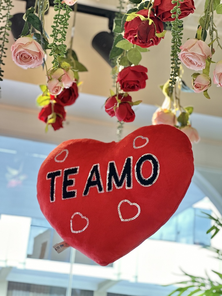 ALMOHADA CORAZON PELUCHE