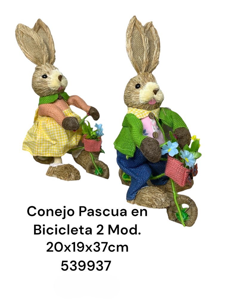 CONEJA PASCUA EN BICICLETA 20X19X37CM