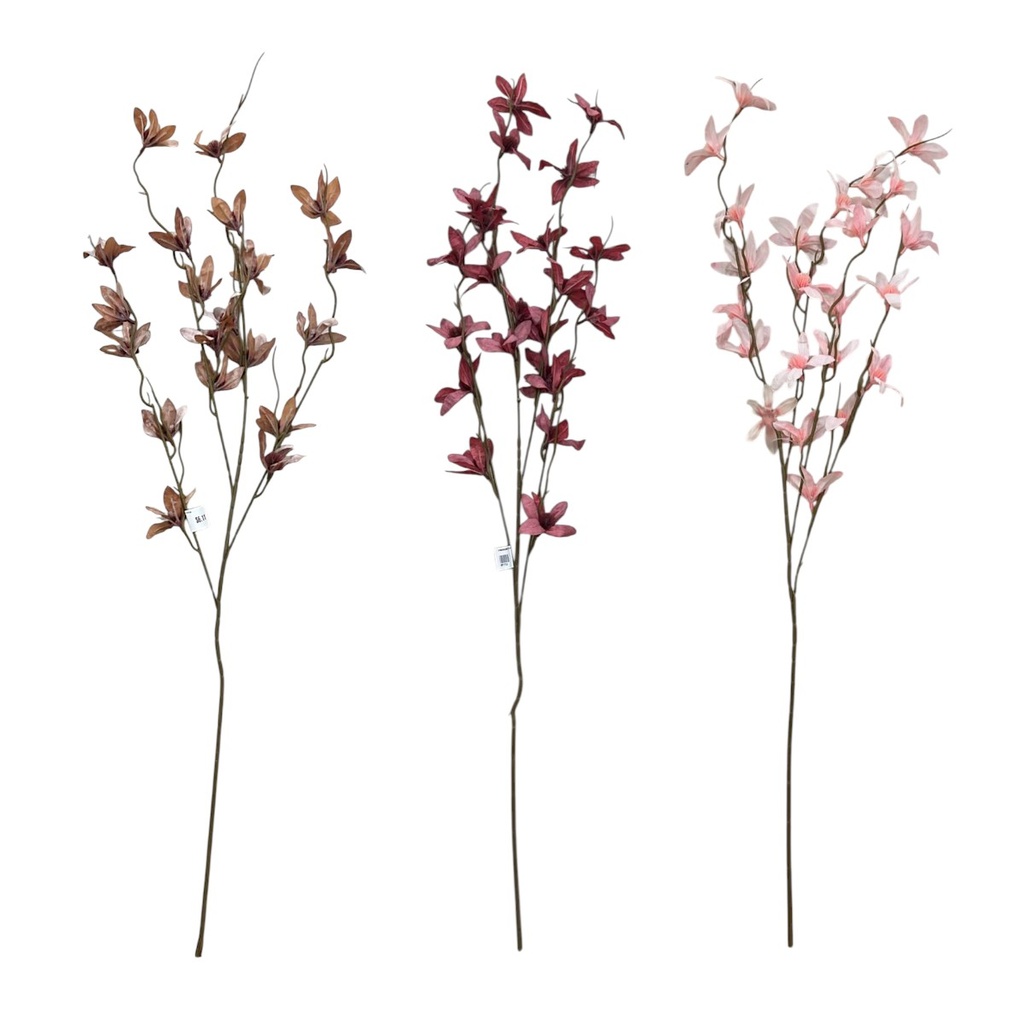 CYMBIDIUM DE 21Fx100CM