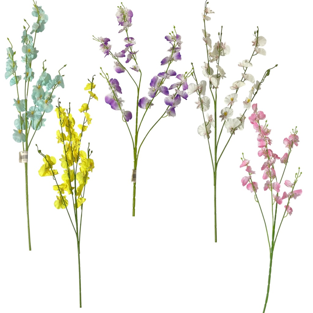 ESPIGA LARGA ONCIDIUM