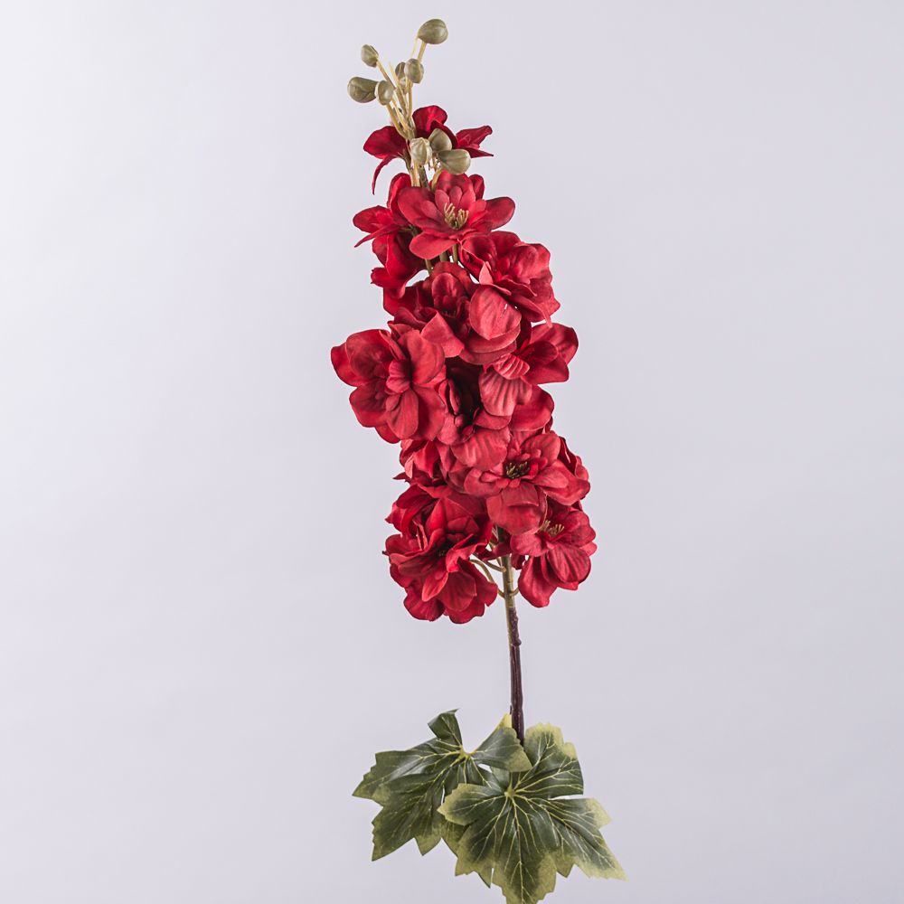 ESPUELA DE CABALLERO 80CM