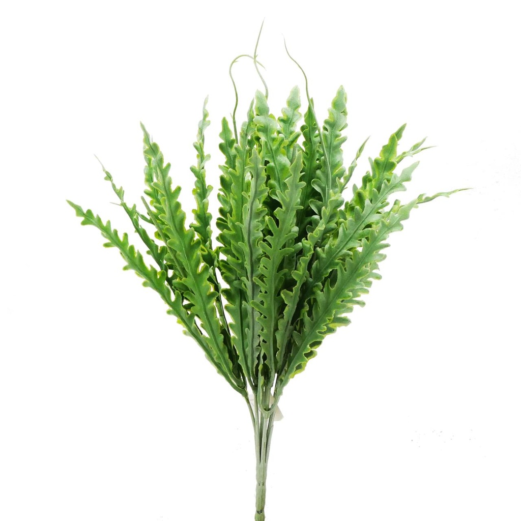 RAMA HELECHO COCODRILE FERN LEAF 40CM 