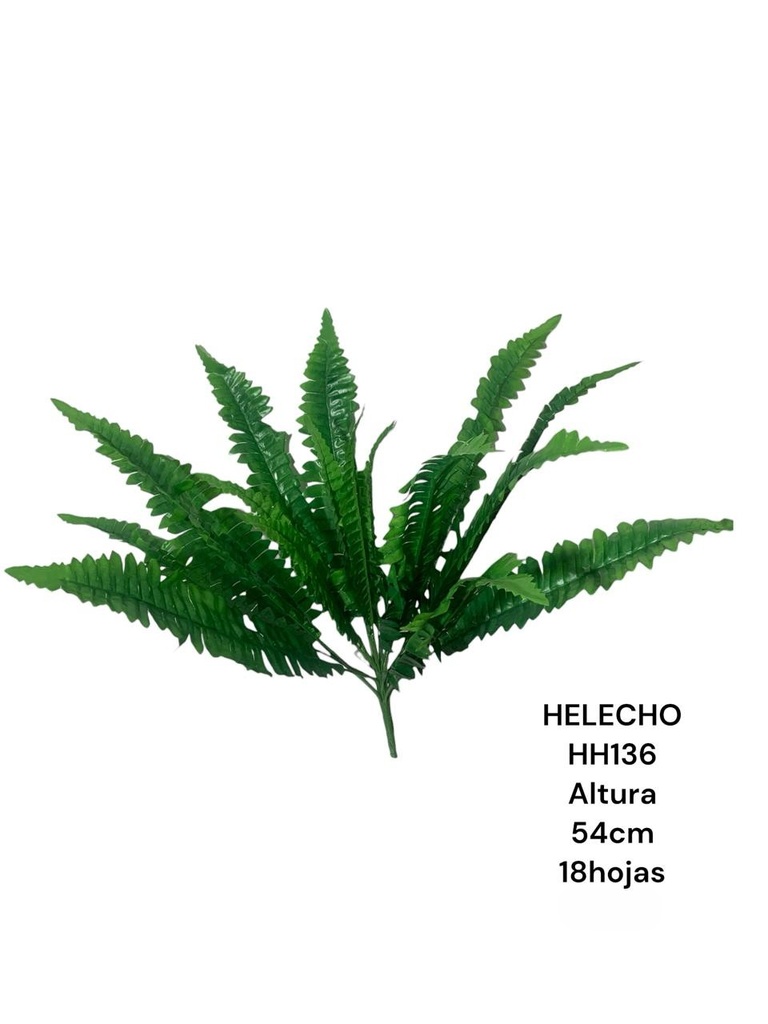 HELECHO MEDIANO 55CM 18HOJAS