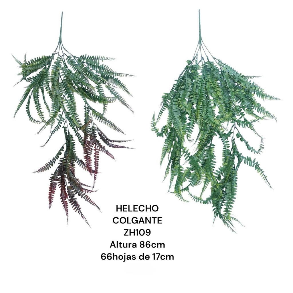 HELECHOS COLGANTES 86CM