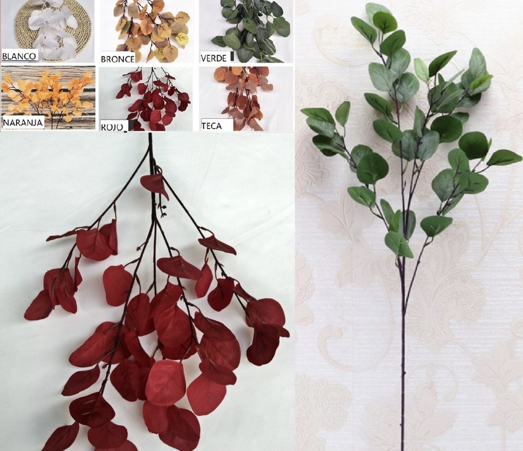 HOJA DE EUCALIPTO L:90CM X40H