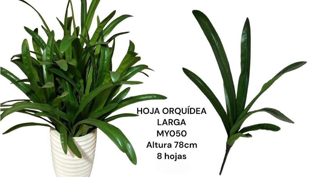 HOJA DE ORQUIDEA LARGA 80CMX8H