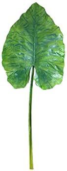 HOJA GRANDE ALOCASIA 56CM.