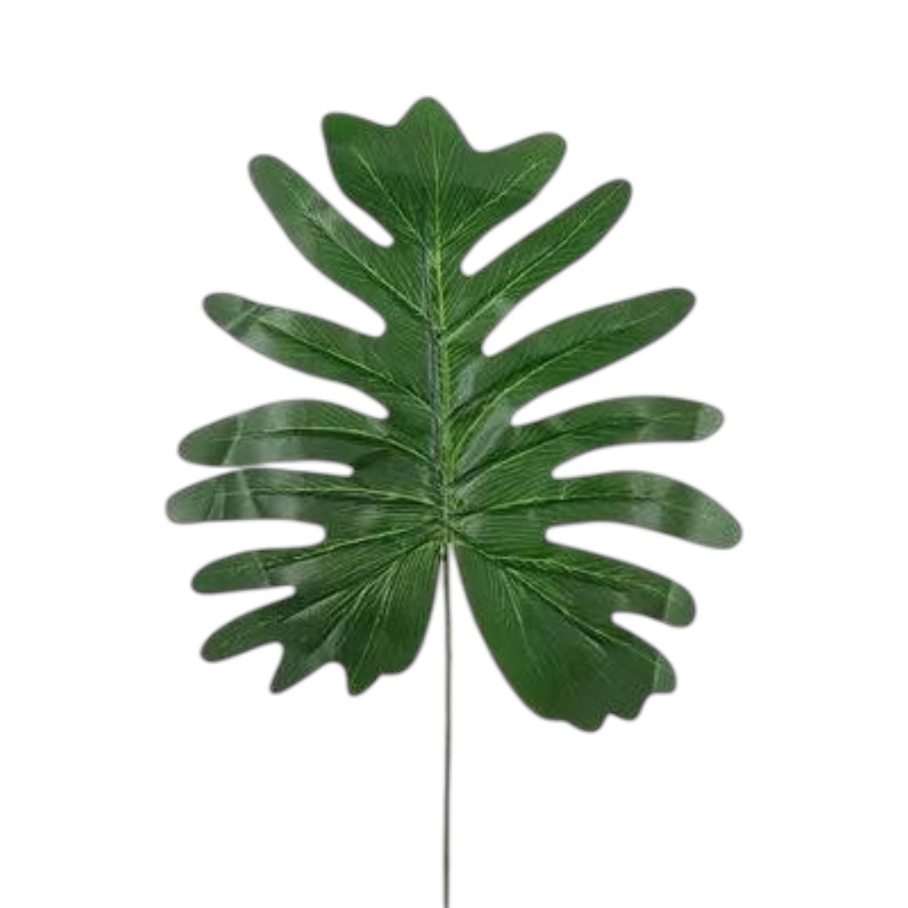 HOJA TORTUGA 70CM