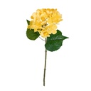 HORTENSIA 45CM