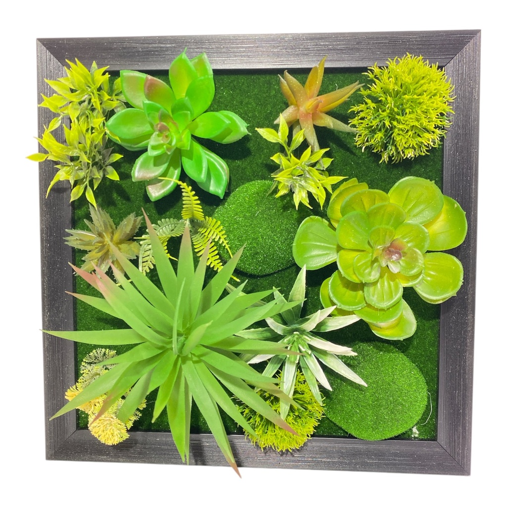 JARDIN CACTUS PARED CUADRO 30X30CM