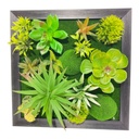 JARDIN CACTUS PARED CUADRO 30X30CM