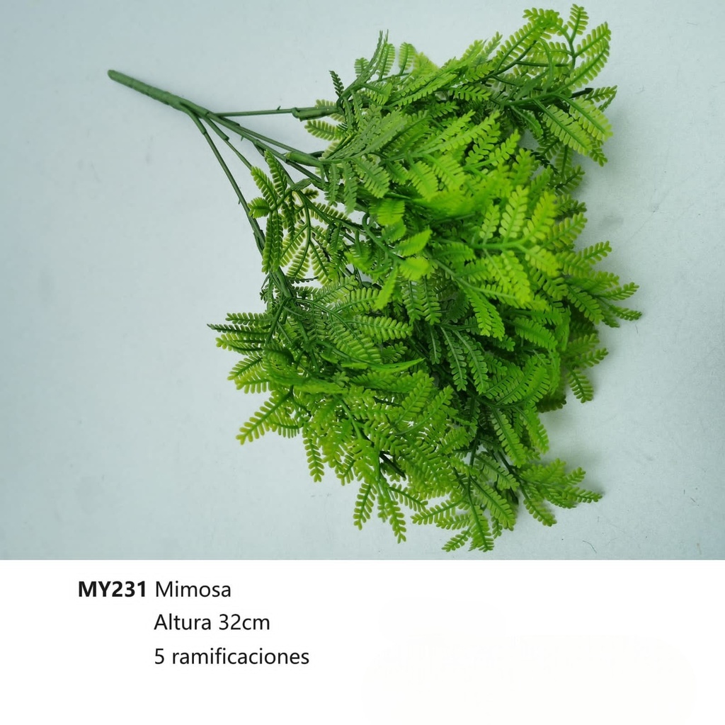 MIMOSA HELECHO PATA DE CONEJO 32CM, 5RAMAS