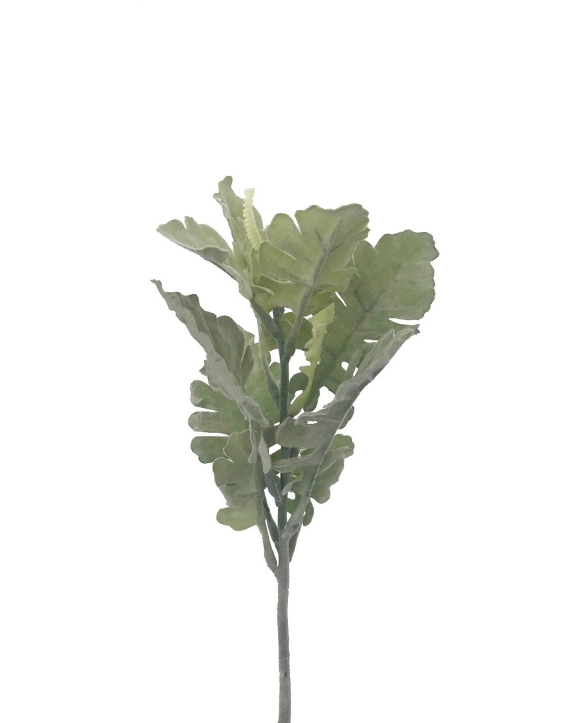 MOLINERO POLVORIENTO 80CM