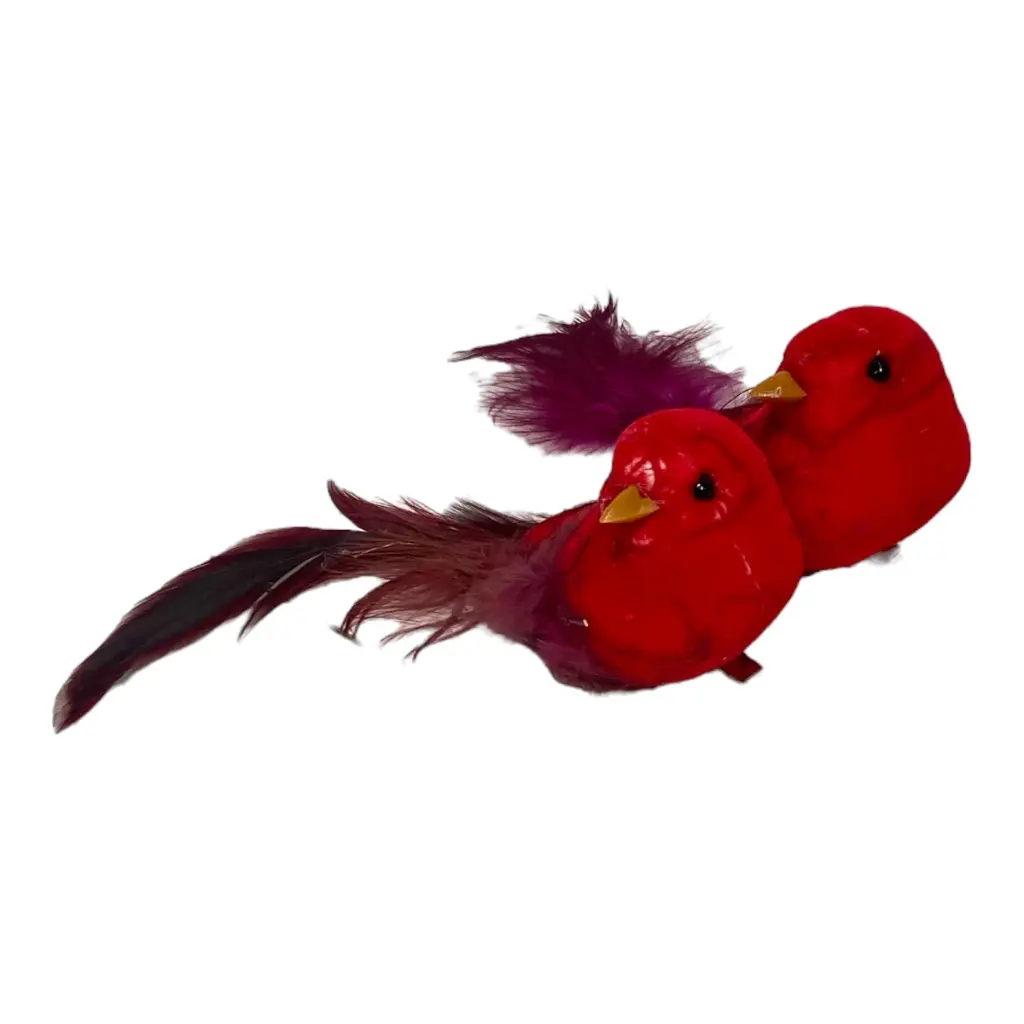 PAJARO ROJO SETX2 10CM