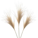 Set de 3 pampas naturales pequeñas 38CM