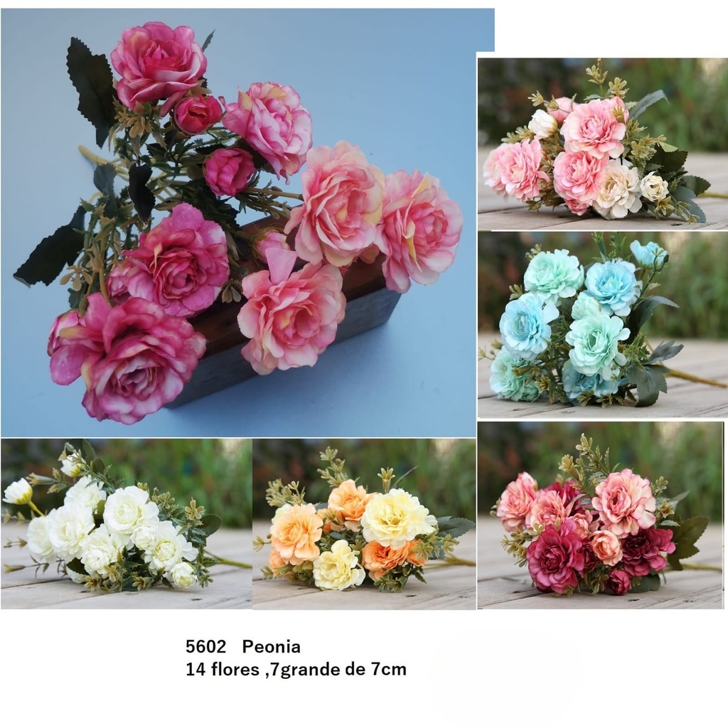 PEONIA 14FLORES/7CM