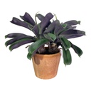 PLANTA ARTIFICIAL BROMELIA C/MACETA REF:CH06733406 40X54CM