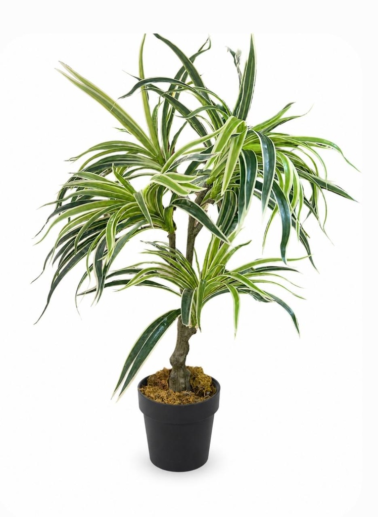 PLANTA ARTIFICIAL NINFA 70CM