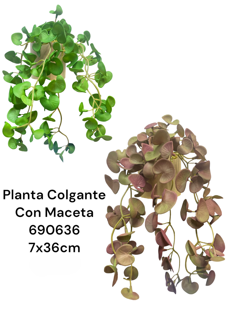 PLANTA COLGANTE C/MACETA ES22698 7X36CM