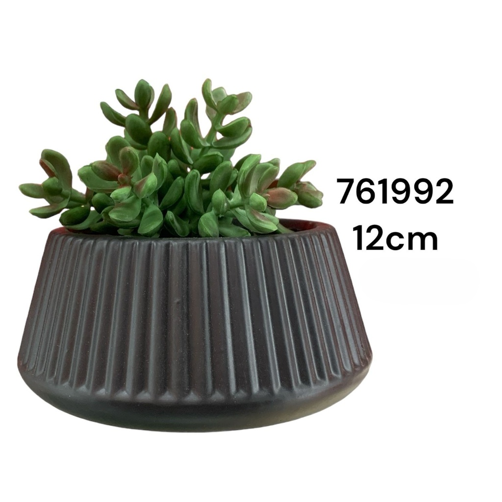 PLANTA DECORATIVA 14X6.5XH12CM REF:ES23330