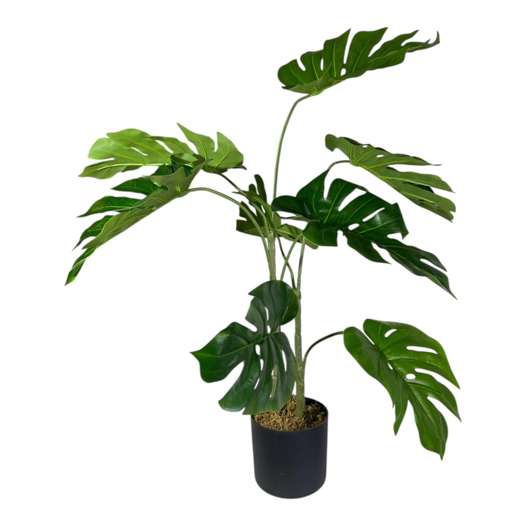 PLANTA MONSTERA CON MACETA  90CM