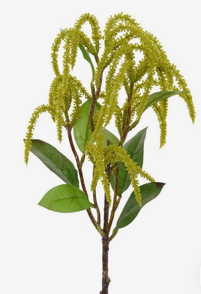 RAMA AMARANTO 6COL 100CM