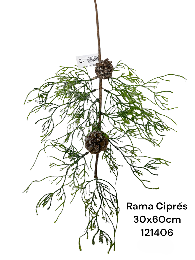 RAMA CIPRES C/BELLOTA 60CM