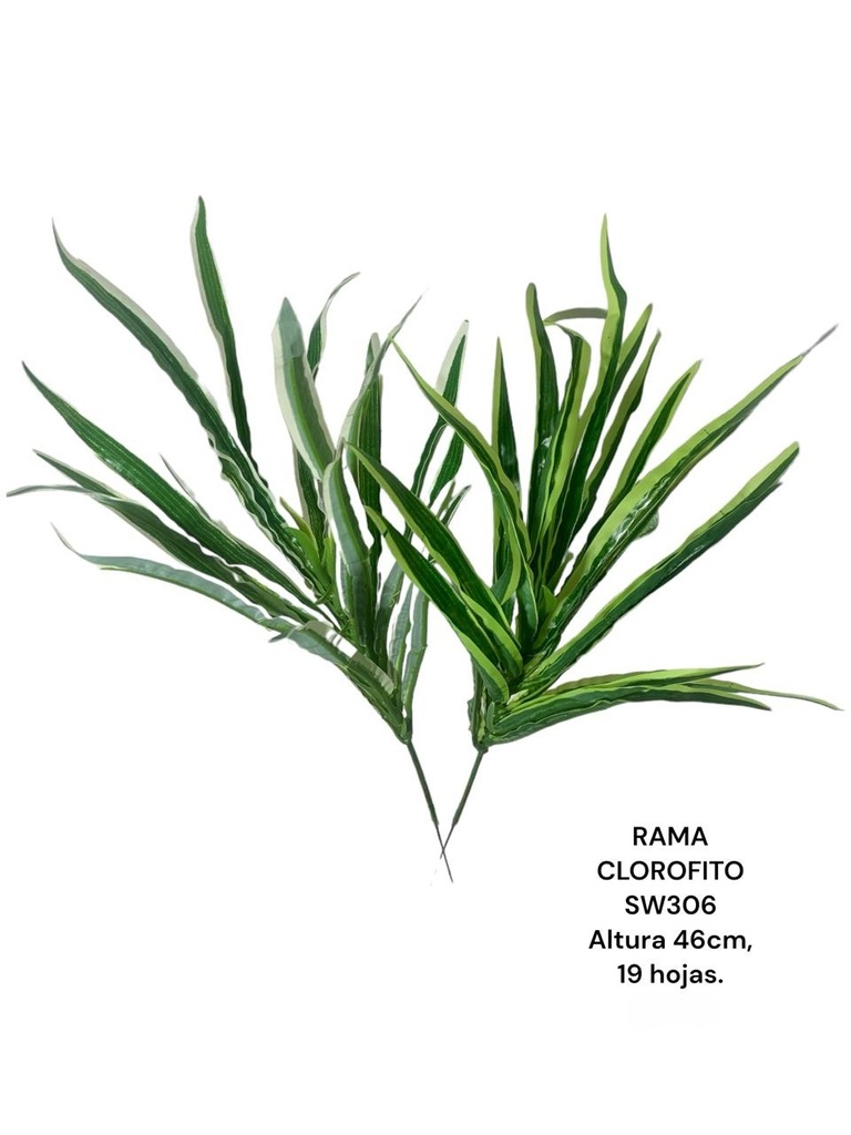 RAMA CLOROFITO 46CM