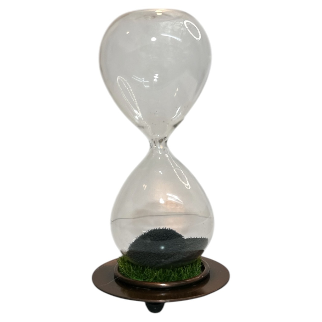 RELOJ DE ARENA 20 SEGUNDOS