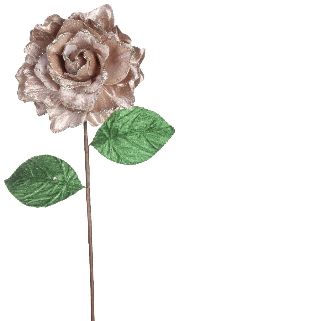 ROSA DECOR SANTINI CHAMPAGNE 14.5CMX50CM