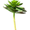 SUCULENTA ARTF. VERDE MARRON 18CM