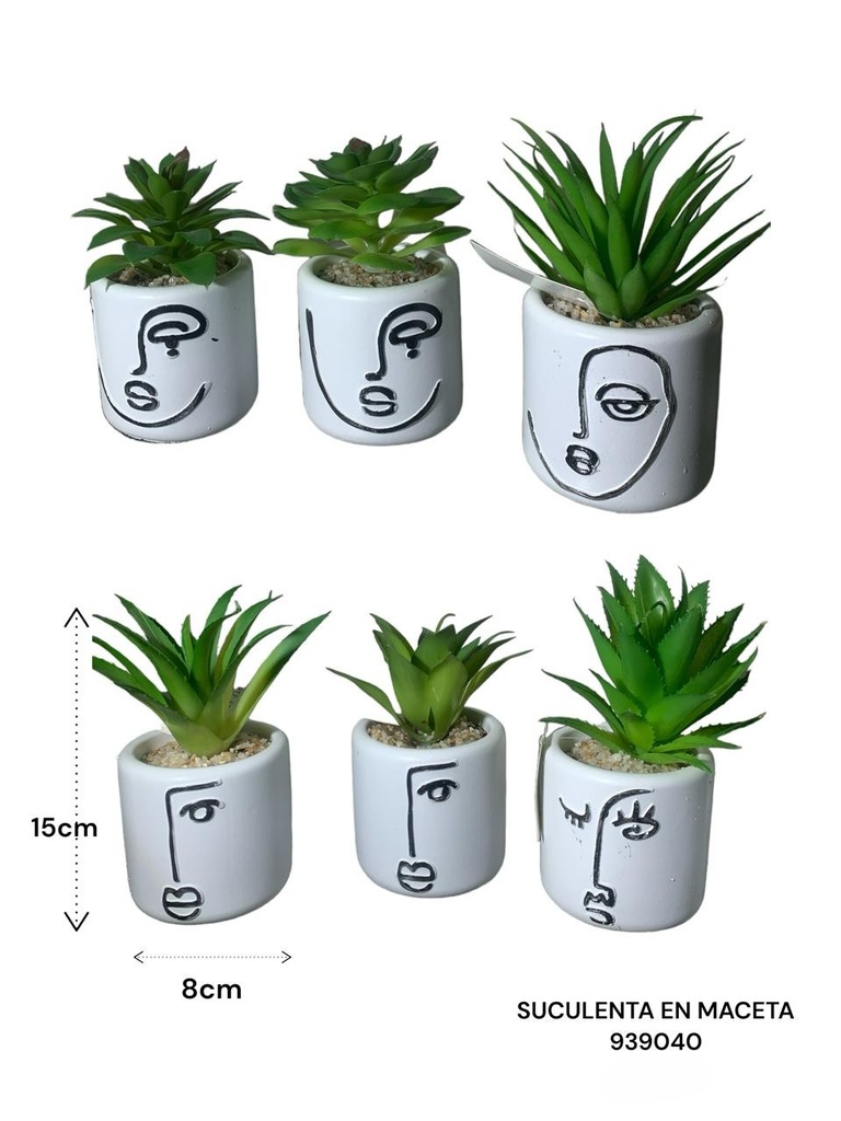 SUCULENTA EN MACETA 8X15CM ES22762