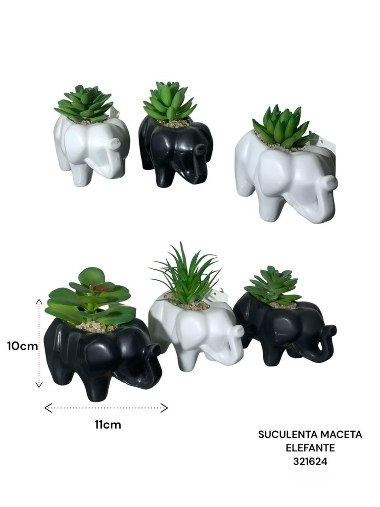 SUCULENTA EN MACETA ELEFANTE ES22736 11X7X10CM