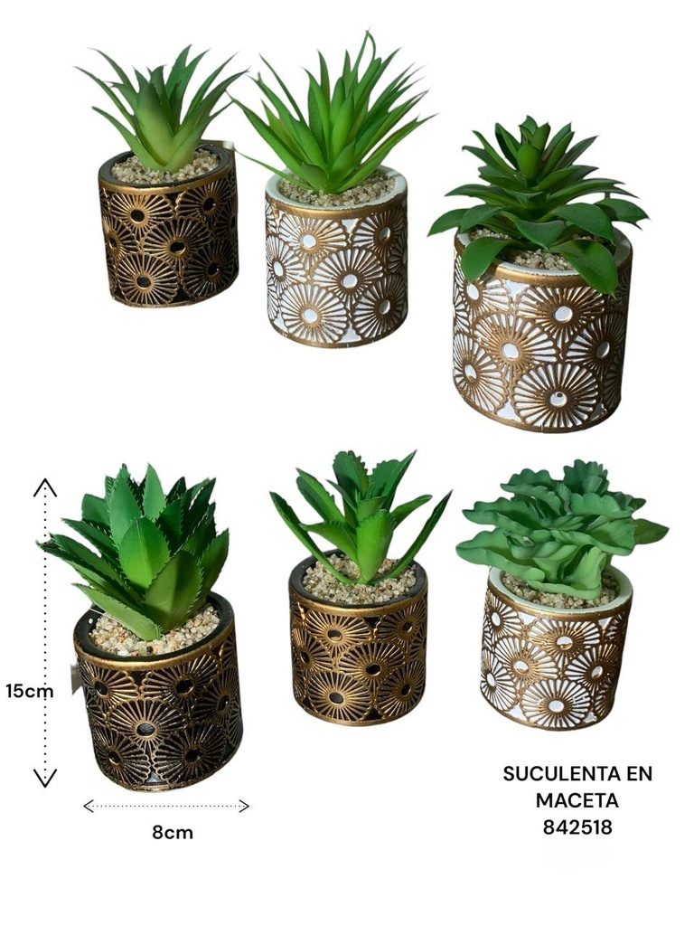 SUCULENTA EN MACETA ES22758 8X15CM