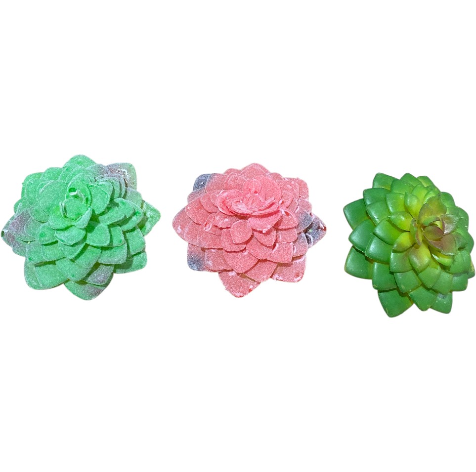 SUCULENTAS ARTF.  7,5 x 8cm 