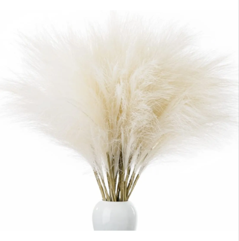 RAMA PAMPA BEIGE MINIMALISTA 110CM