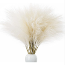 RAMA PAMPA BEIGE MINIMALISTA 110CM