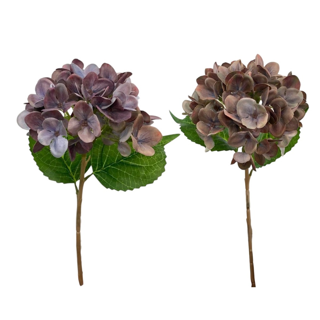 HORTENSIAS 45CM