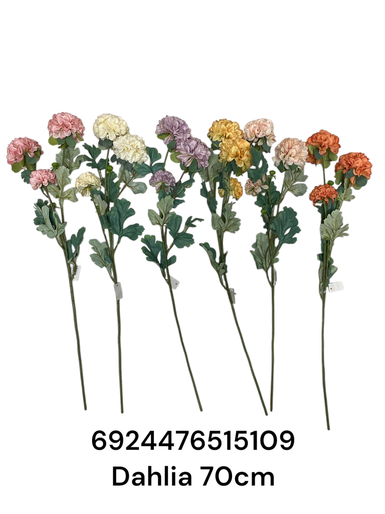 SC15109 RAMA DAHLIA 70CM